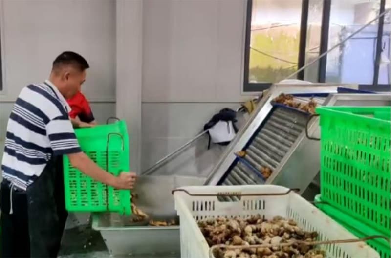 images/1752741197447ginger washing machine.jpg